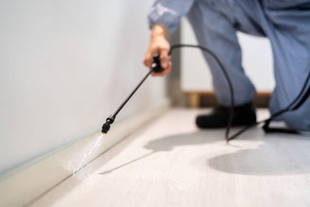 Licensed Fumigation Services service in Caldwell, NJ - Nex Pest Control
