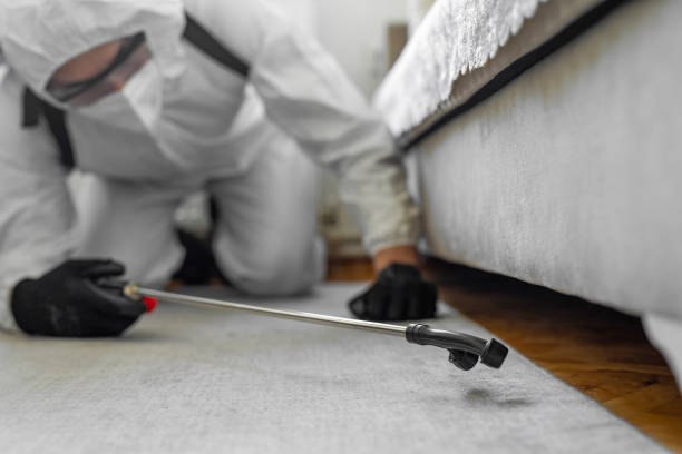 Professional Fumigation Services technician working in Caldwell, NJ