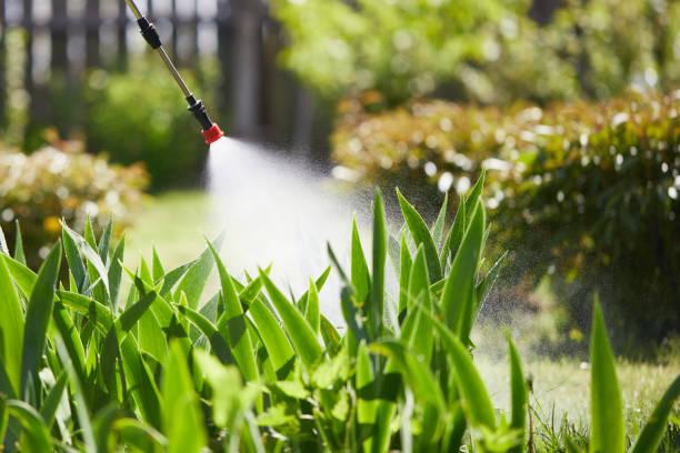 24/7 Emergency Fumigation Services experts in Caldwell, NJ