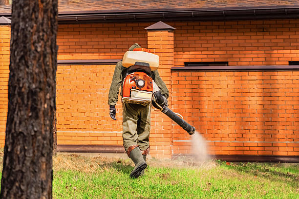 Trusted Bed Bug Control service in Caldwell, NJ - Nex Pest Control